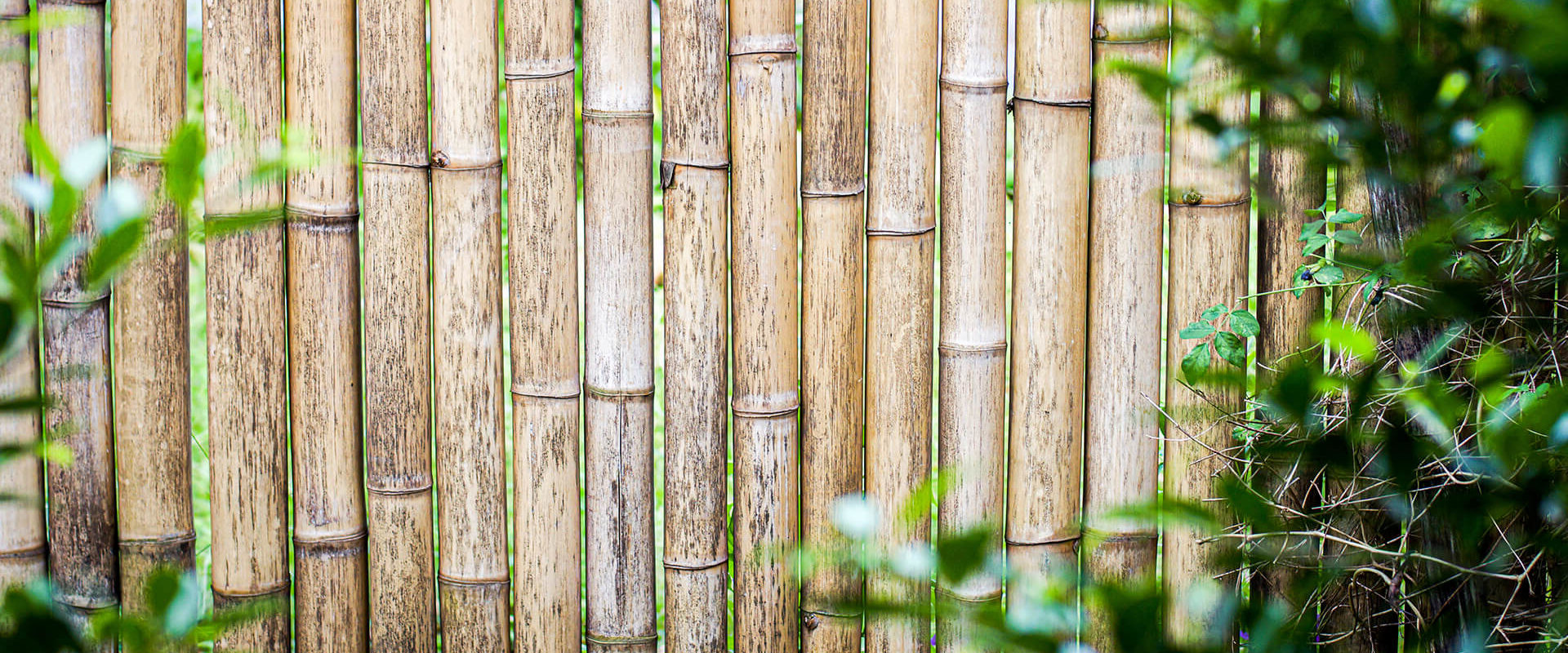 What building materials are eco friendly?